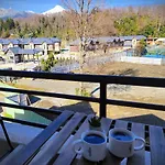 Hom I Amplio Y Comodo Depto 1D1B En Pucon Parking